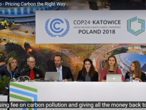 BLOG: Finding Hope at COP24