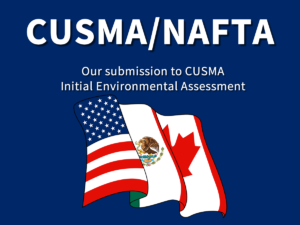 OPEN LETTER: Our Submission to the CUSMA Initial Environmental Assessment