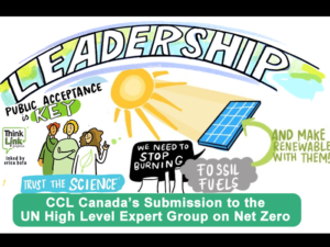CCL Canada’s Submission to the UN High-Level Expert Group on Net Zero