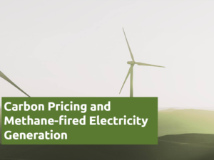 Laser Talk: Carbon Pricing of Methane-fired Electricity Generation