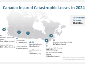 Laser Talk: The Uninsurable World