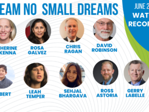 Dream No Small Dreams: National Conference,  June 2-4, 2024 WATCH RECORDINGS