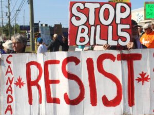 A Letter to Premier Doug Ford on World Environment Day