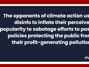 Philip Newell from Climate Action Against Disinformation (CAAD)