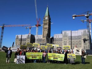 Open Letter to the Special Legislative Committee on Bill C-39 from Cathy Orlando